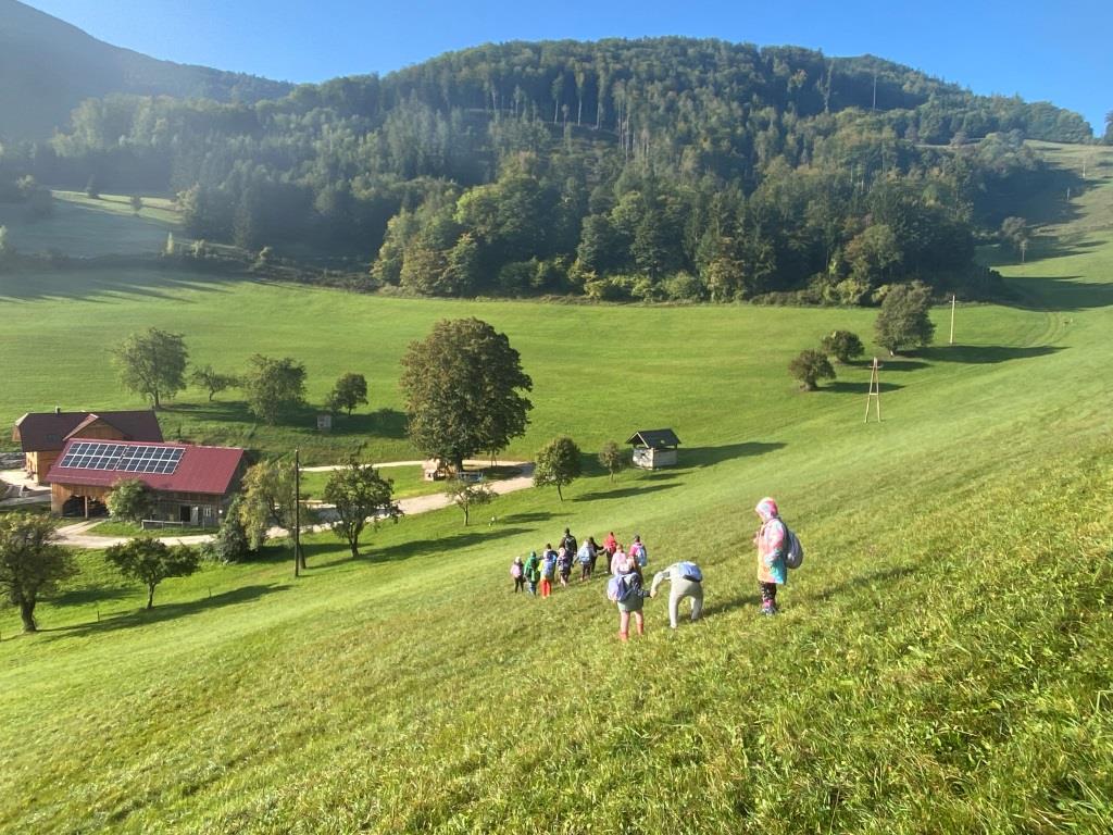 Waldtag, 2ab (11)