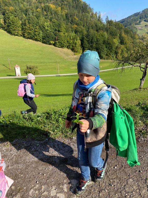 Waldtag, 2ab (19)