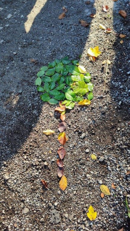 Waldtag, 2ab (32)