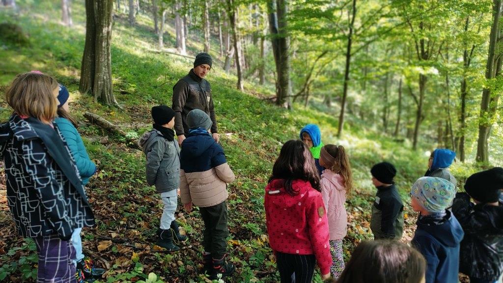 Waldtag, 2ab (37)