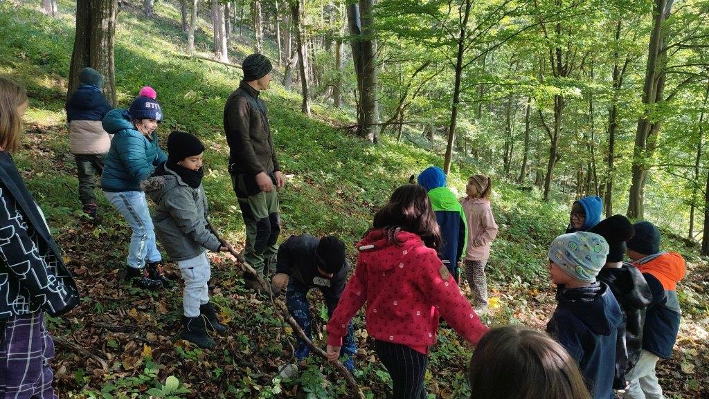 Waldtag, 2ab (38)