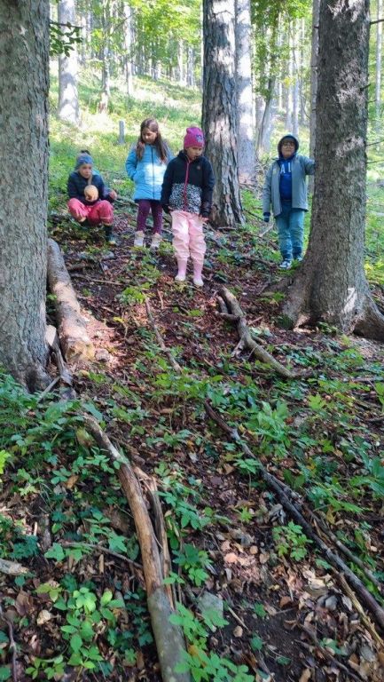 Waldtag, 2ab (42)