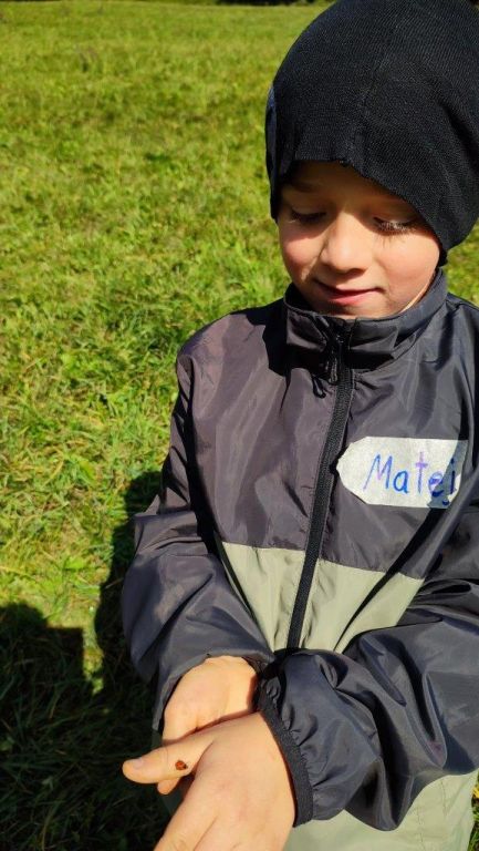 Waldtag, 2ab (43)