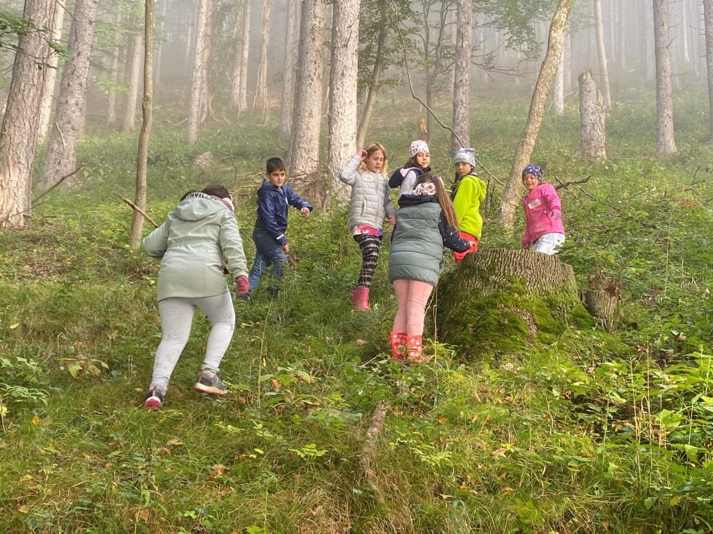 Waldtag, 2ab (6)